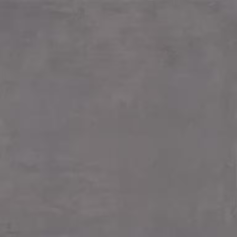 Finch – Image 4