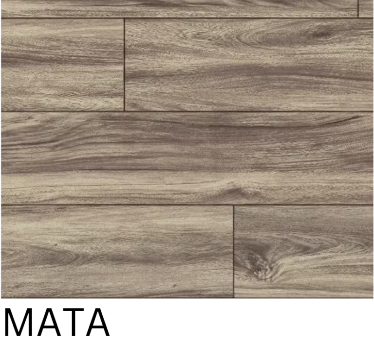 Évolution Magma XL – Image 2