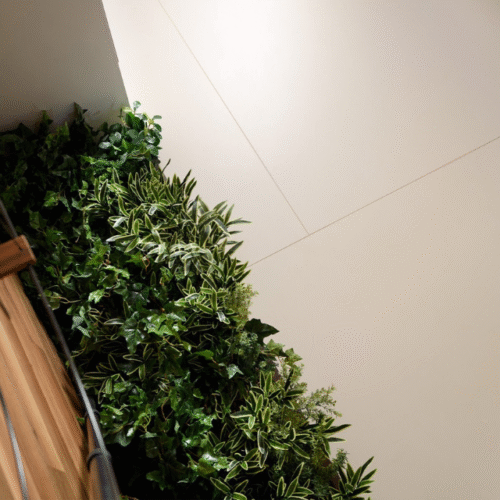 Bianco Crema Planche